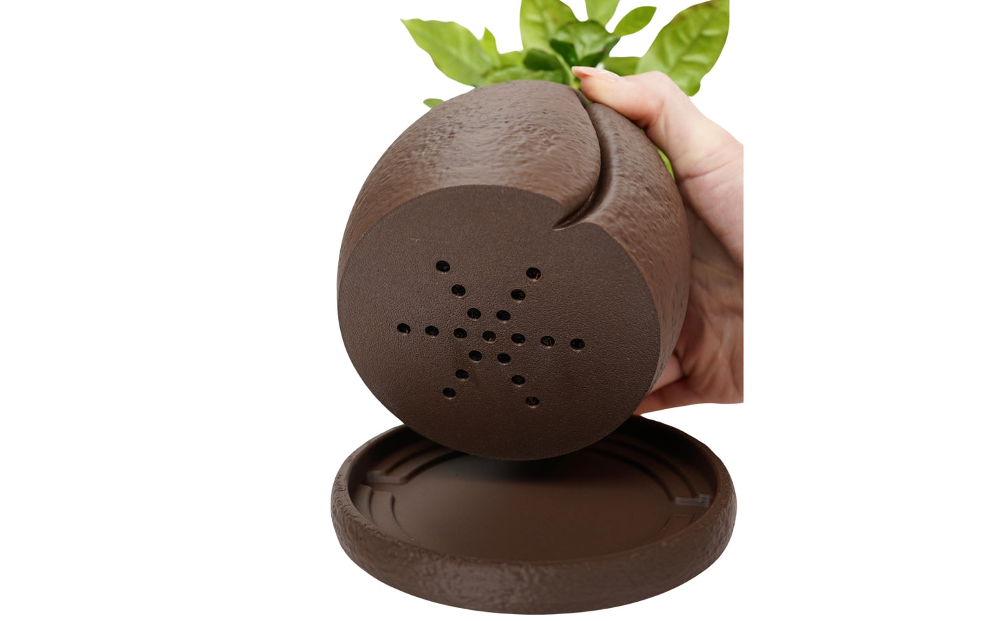 COFESIA Coffee Bean Planter