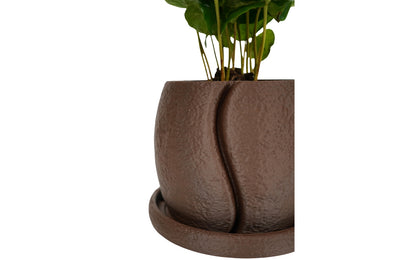 COFESIA Coffee Bean Planter